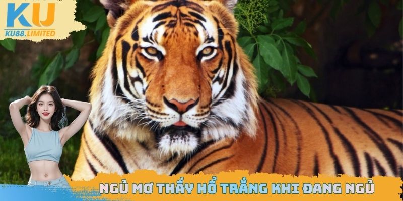 Ngủ Mơ Thấy Hổ - Cảnh Báo Bất Ngờ Về Vận Mệnh Sắp Đến 2 Bắt gặp chúa sơn lâm màu trắng khi đang ngủ
