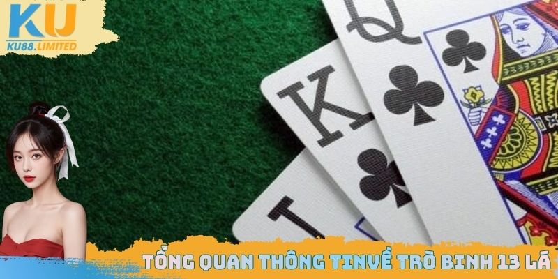 Một số thông tin cần nắm được về binh 13 lá là gì