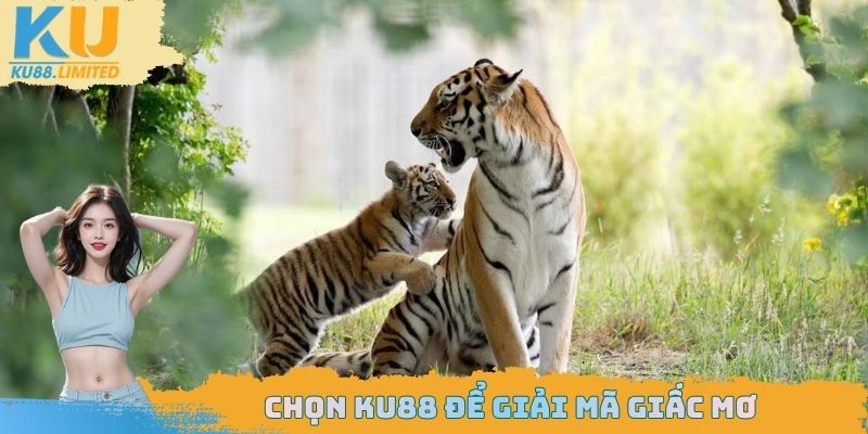 Ngủ Mơ Thấy Hổ - Cảnh Báo Bất Ngờ Về Vận Mệnh Sắp Đến 3 Có thể chọn Ku88 để giải mã mọi con số may mắn