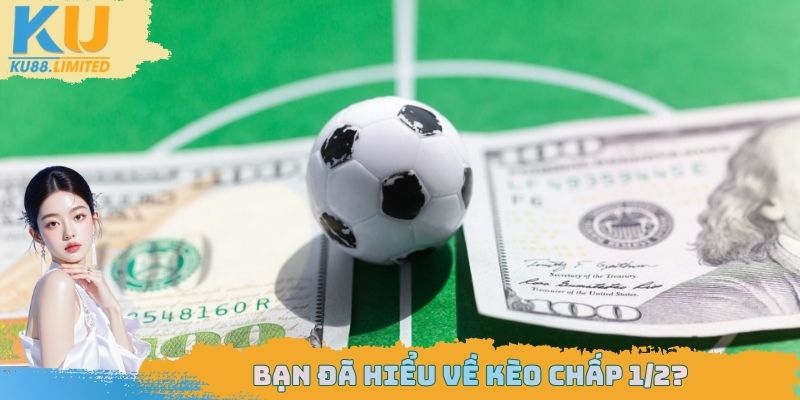 Kèo Chấp 1/2 Cho Nhiều Trận Bóng Đá Hãy Tìm Hiểu Cụ Thể 1 Kèo chấp 1/2 xuất hiện trong nhiều trận bóng
