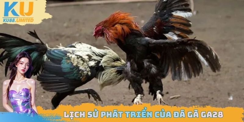 Lịch sử phát triển của đá gà GA28