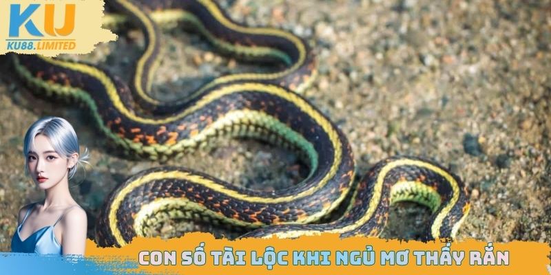 Ngủ Mơ Thấy Rắn Có Phải Điềm Xấu? Giải Mã Bí Ẩn Đằng Sau 3 Thử may mắn bản thân với danh sách con số liên quan